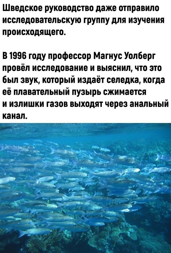 Политические комментарии 2