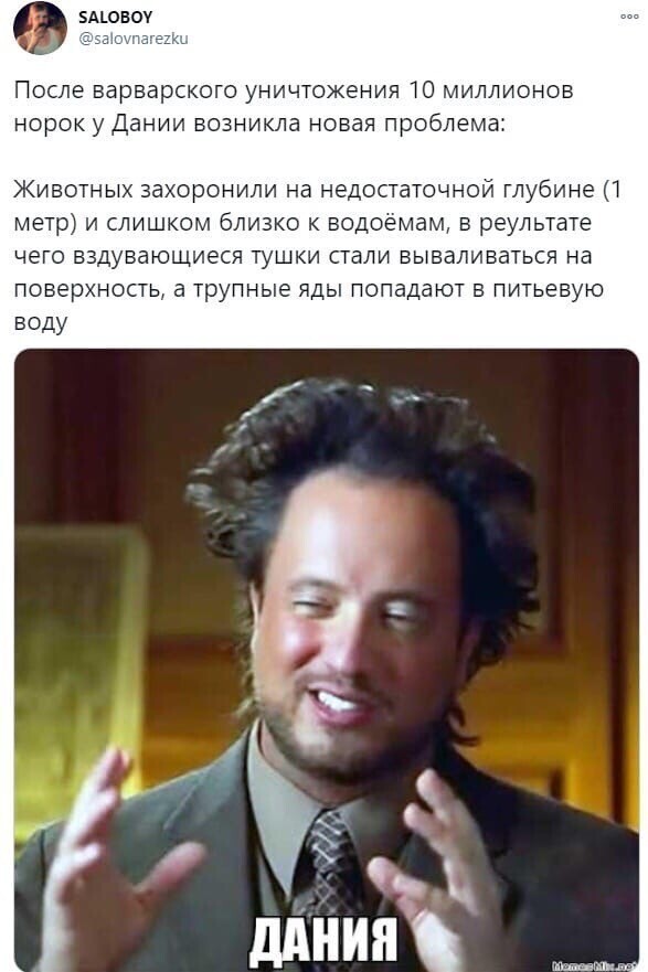 Политические комментарии из инета