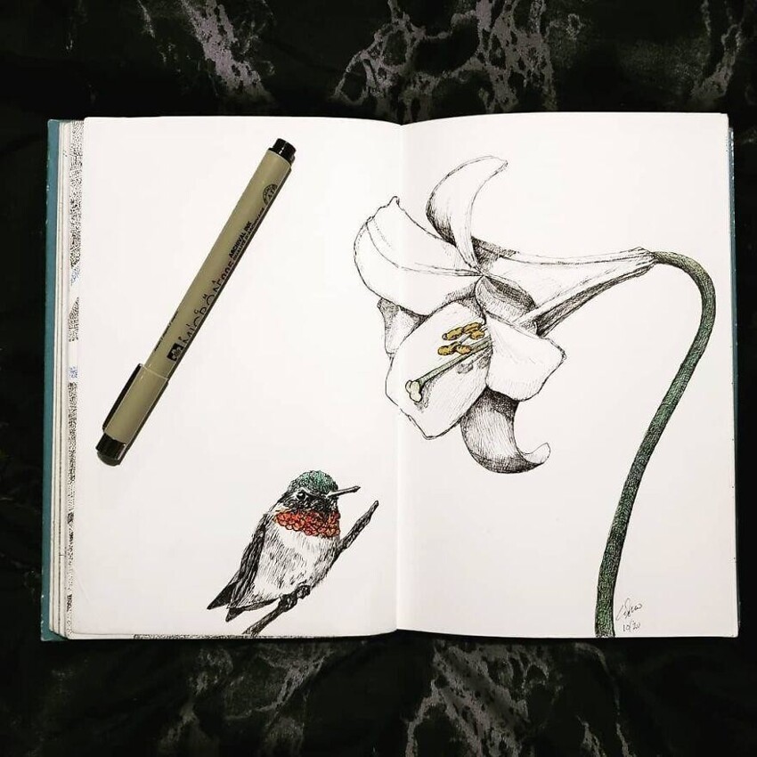 21. Колибри и лилия