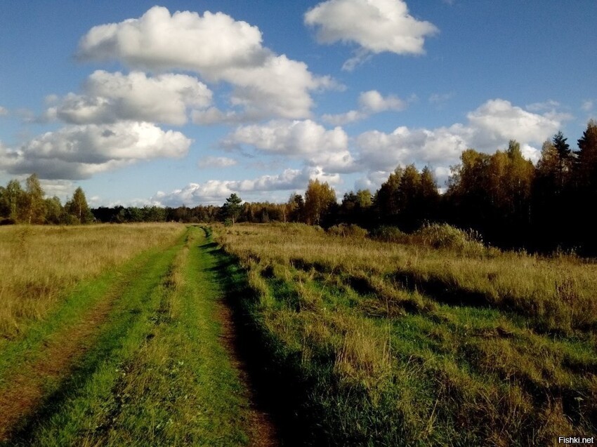 Тверь, Савелово, р
