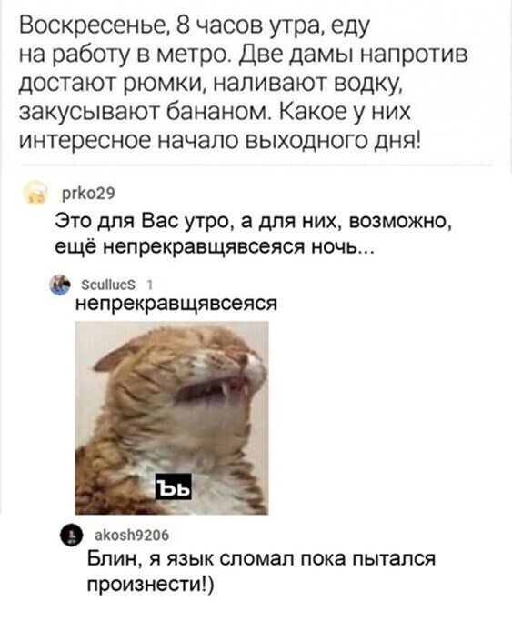 Прикольные и смешные картинки