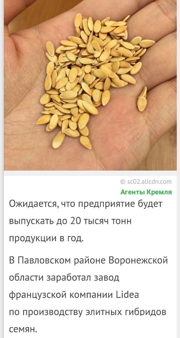 Политические комментарии из инета