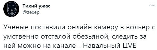 Политические комментарии из инета