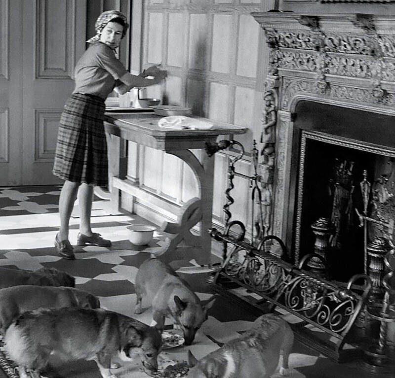 Елизавета II кормит своих питомцев, 1976 г.