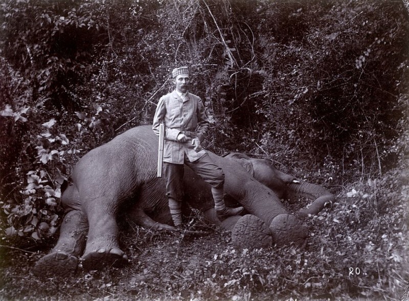 Эрцгерцог Франц Фердинанд с убитым слоном во время охоты на Цейлоне (Шри-Ланка), 1893 год.
