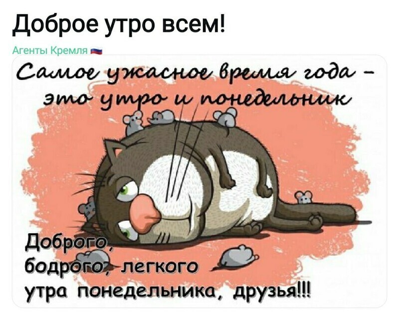 Политические комментарии из инета
