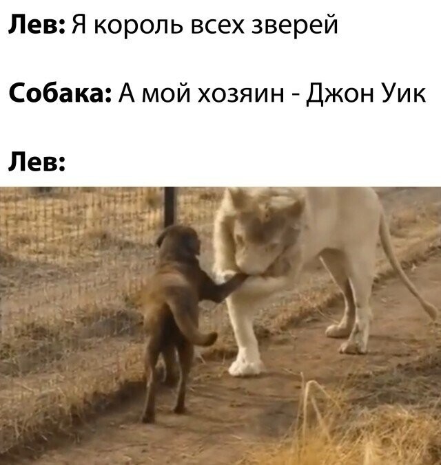 Намешалось