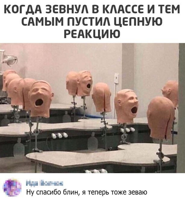 Скрины из социальных сетей