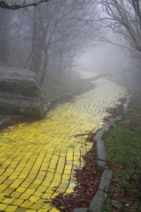 5. Дорога из желтого кирпича в заброшенном парке развлечений "Страна Оз" в Северной Каролине