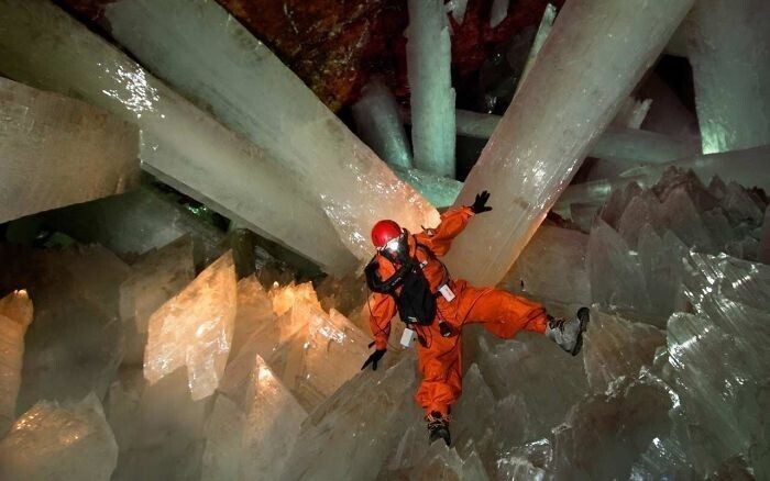 В Мексике есть пещеры с кристаллами размером с деревья. Но находиться там опасно из-за жары и ядовитых испарений