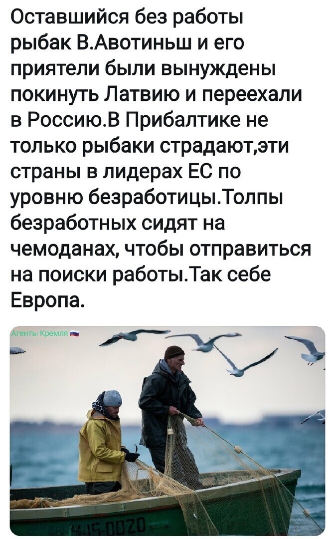 Политические комментарии из инета