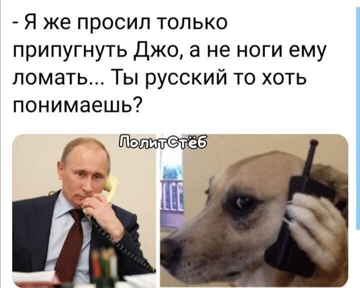 Политические комментарии из инета