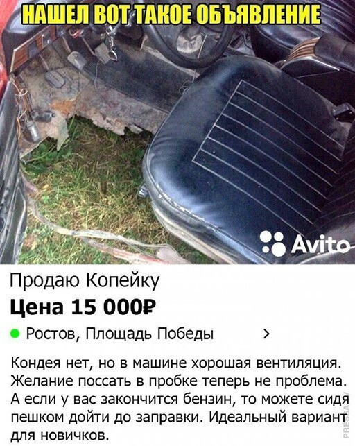 Прикольные и смешные картинки