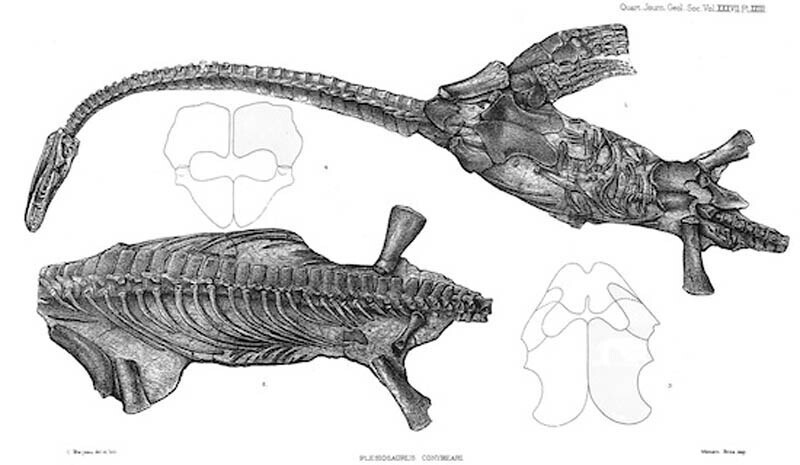 Палеозавр Дэвида Аттенборо