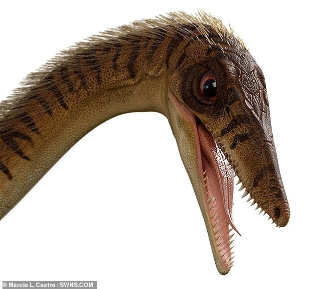 Палеонтологи нашли останки "крестного отца" тираннозавра