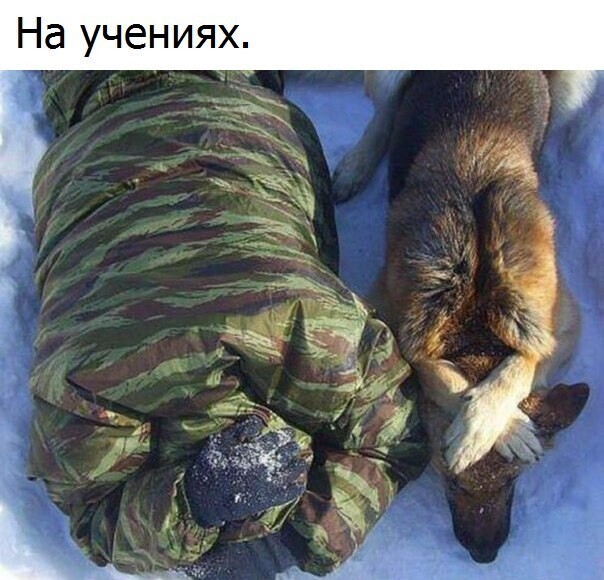 Последняя тренировка тов.Majora перед выгулом Байдена