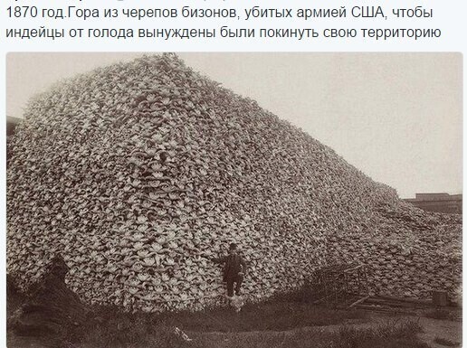 Политические комментарии из инета