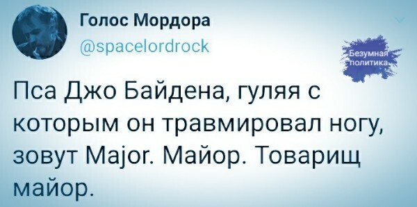 Политические комментарии из инета