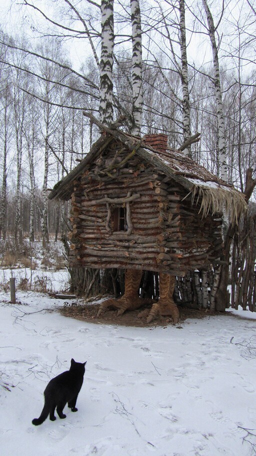 Прикольные и смешные картинки