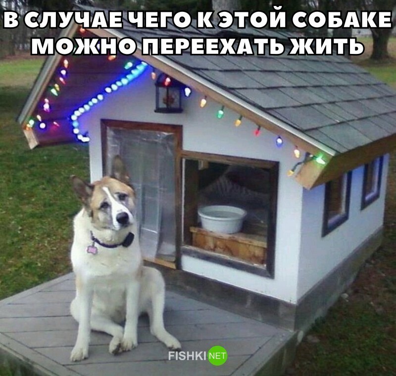 Прикольные и смешные картинки