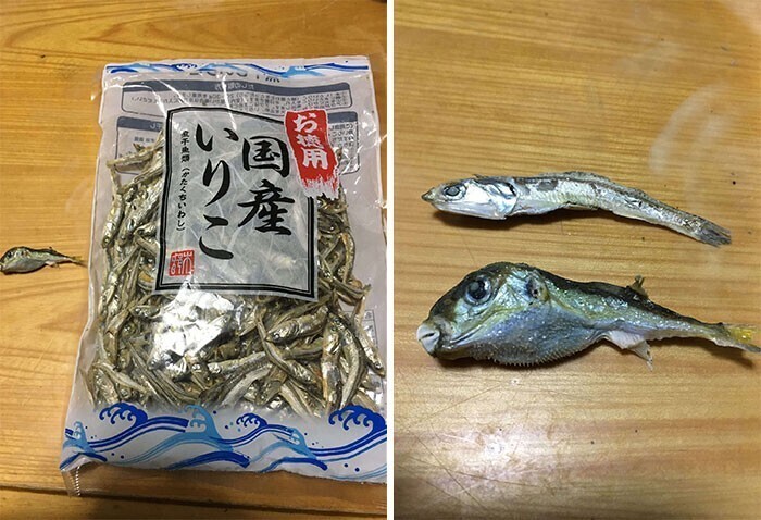 "Смертельно опасная рыба фугу теперь продается бонусом к анчоусам