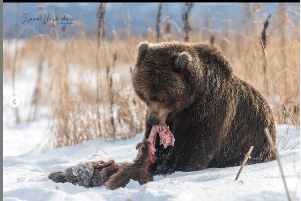 Стабильность природы