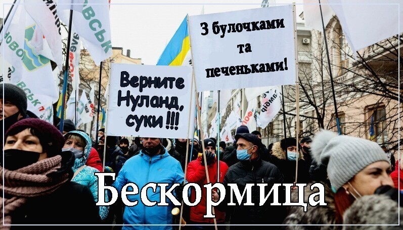 Политические комментарии из инета