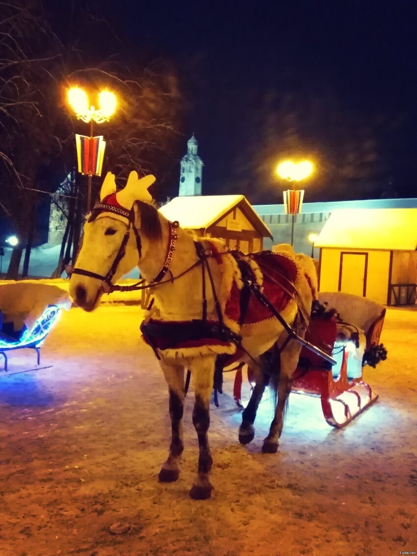 Сегодня в парке елочку поставили