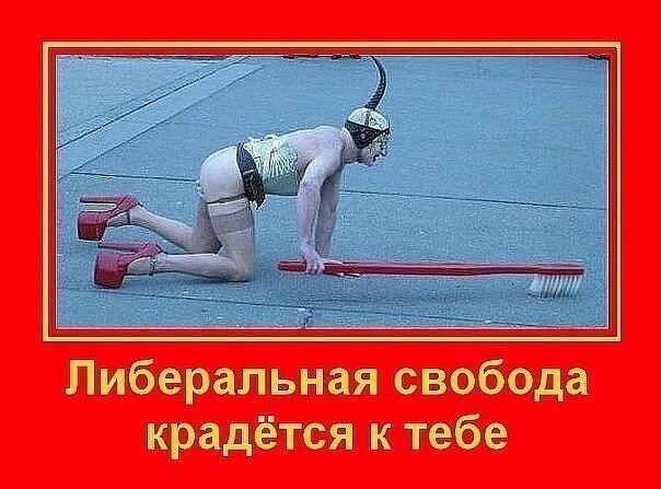О политике и не только
