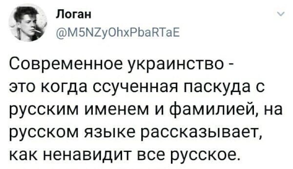 Политические комментарии из инета