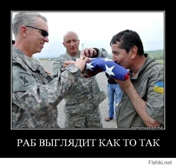 Политические комментарии из инета