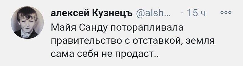 О политике и не только