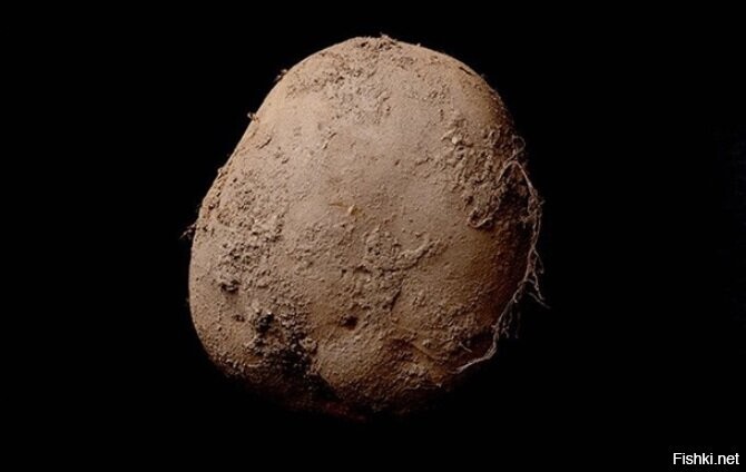 Фотограф Кевин Абош продал свою фотоработу с изображением картофеля на черном...