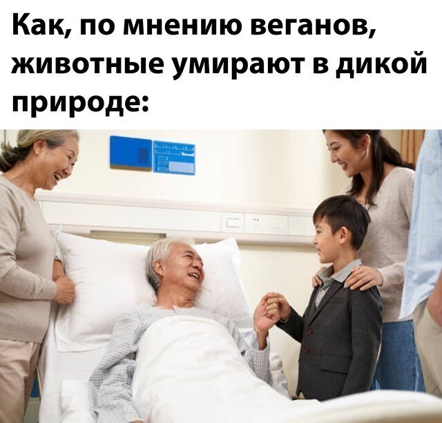 Намешалось