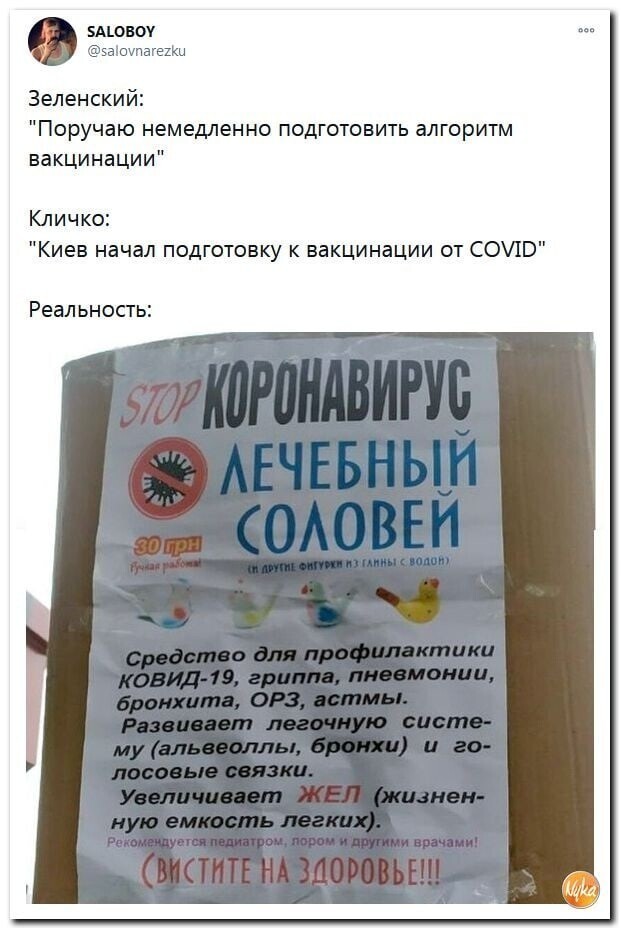Политические комментарии из инета