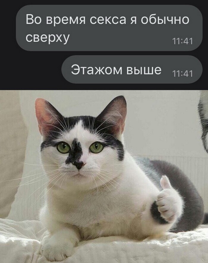 Скрины из социальных сетей