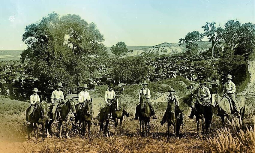 Культовая фотография техасских ковбоев со стадом позади них, 1882 год