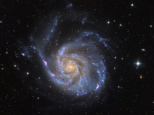 Коллективный снимок галактики М101