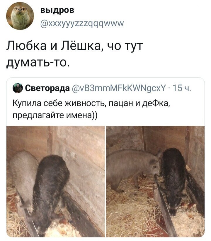 Политические комментарии из инета