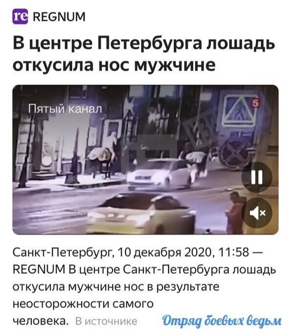 Кто Собчак выпустил на улицу? Питер опять доставляет...