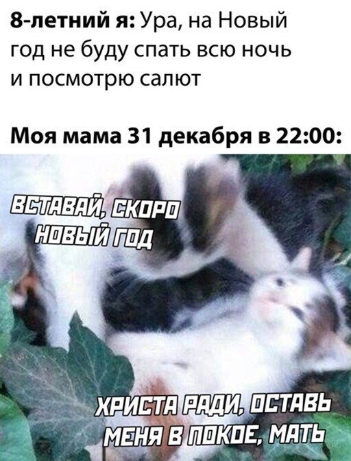 Прикольные и смешные картинки