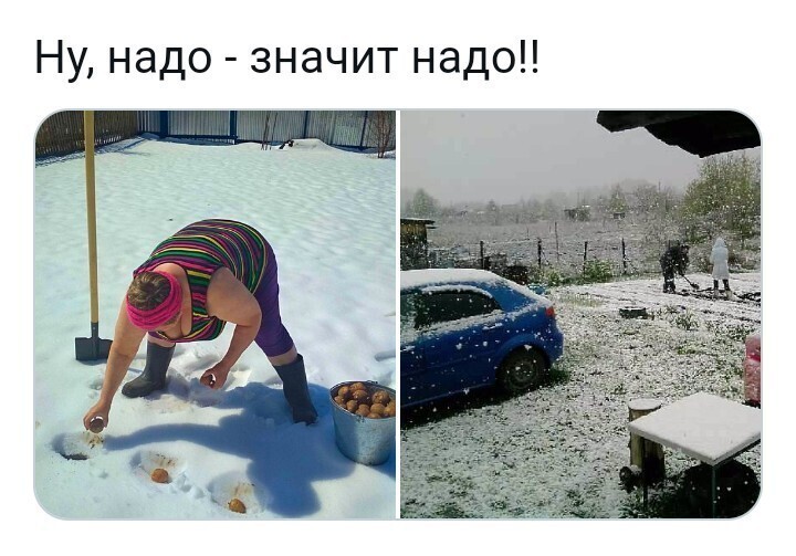 Озимые
