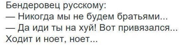 О политике и не только