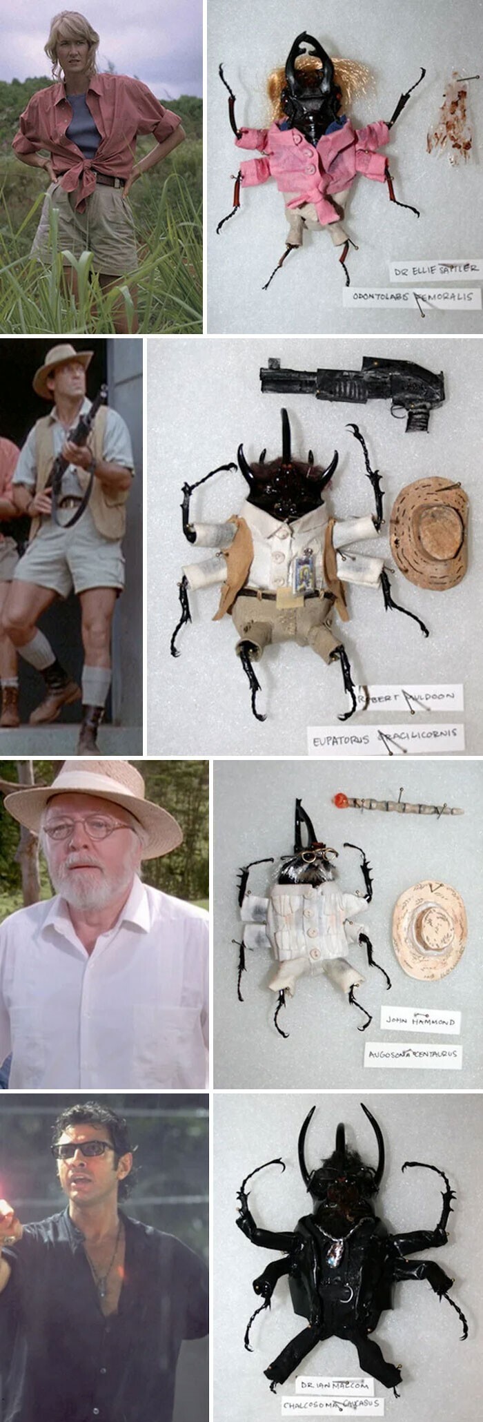 Будни таксидермиста: коллекция насекомых в костюмах героев "Парка Юрского периода"