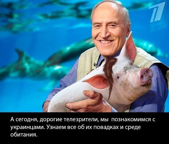 Политические комментарии из инета