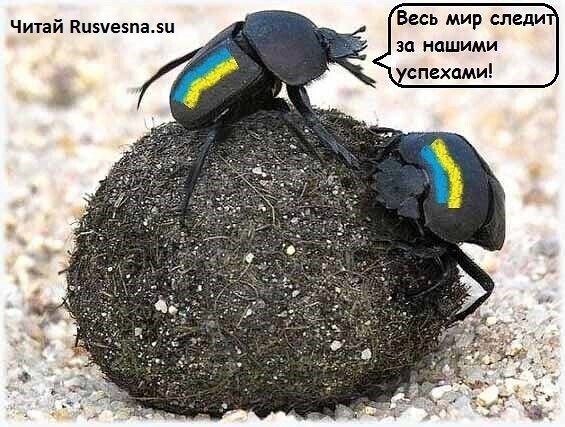 Политические комментарии из инета