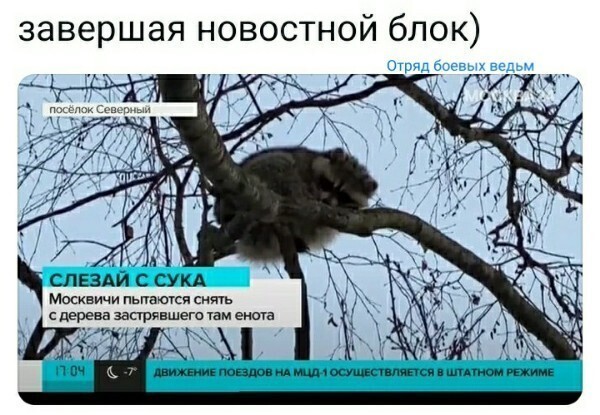 О политике и не только