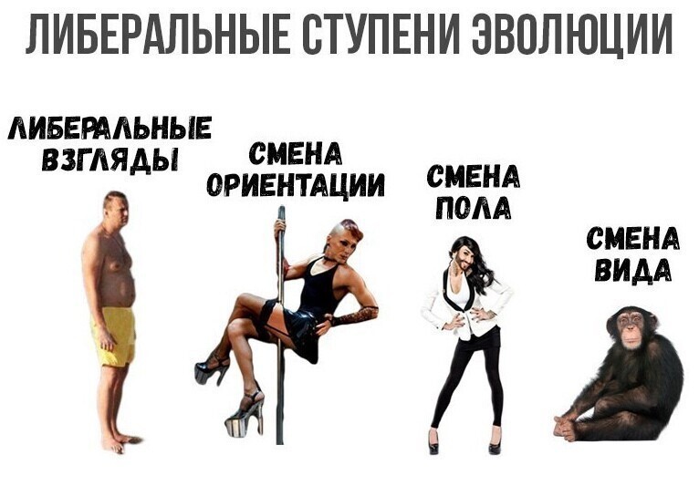 О политике и не только