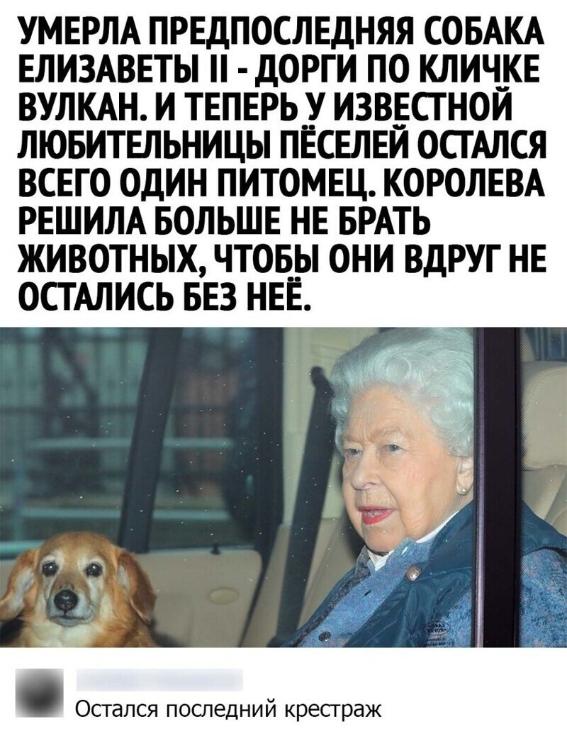 О политике и не только
