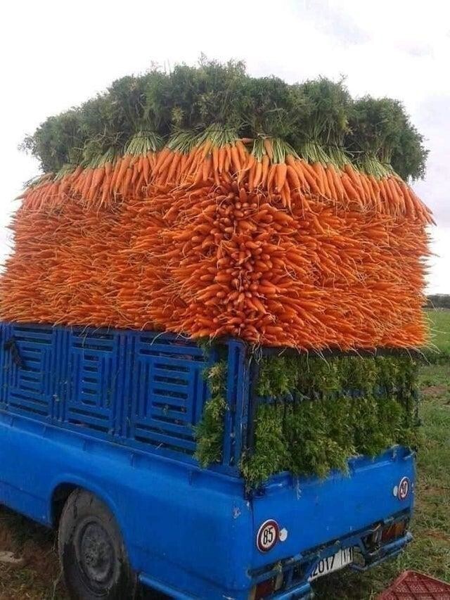 Просто грузовик с морковью